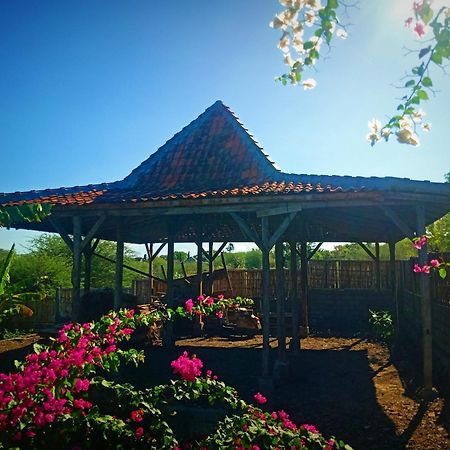 Umah Kayu 2-Menjangan Homestay بانُوويدانغْ المظهر الخارجي الصورة