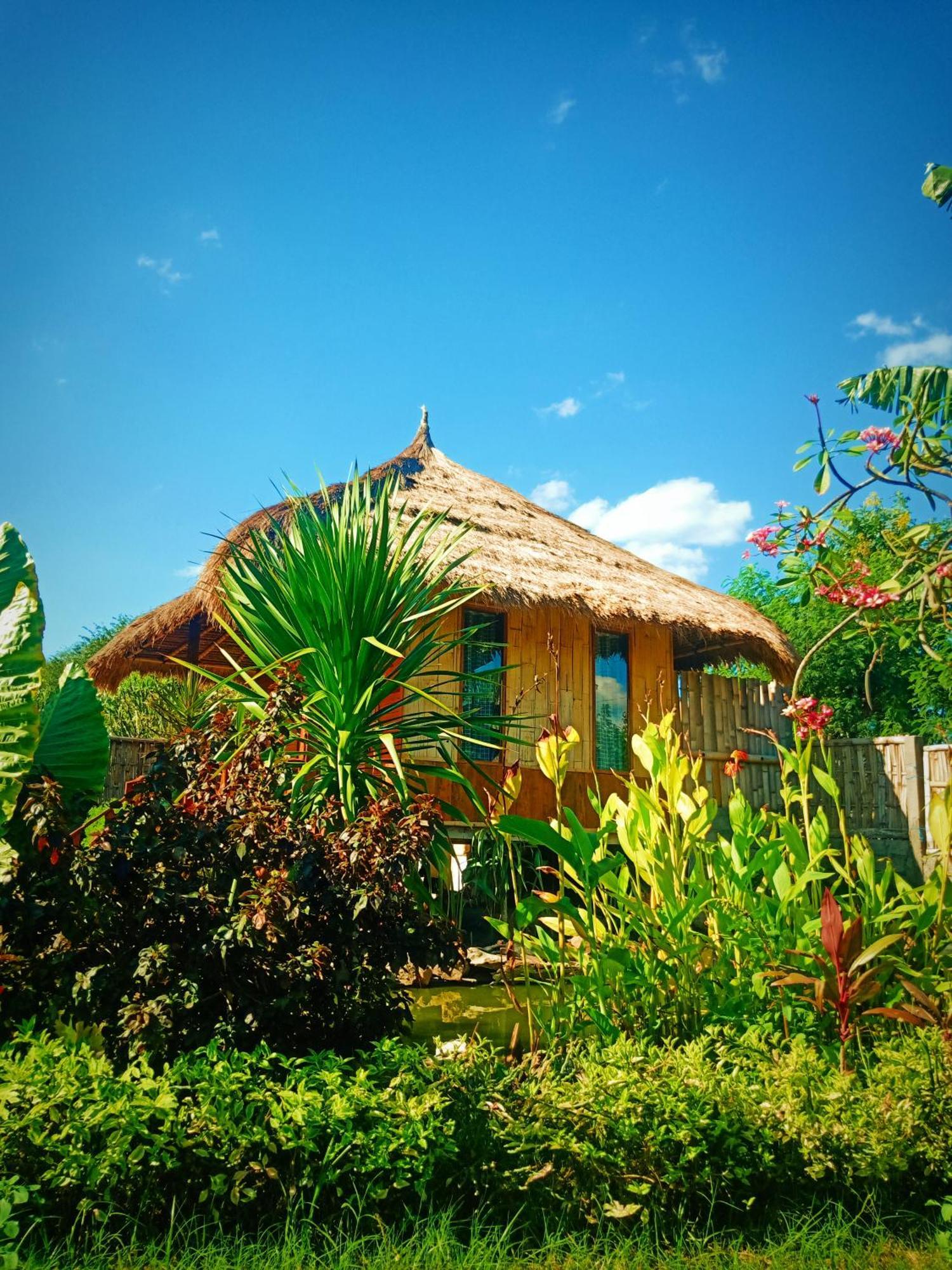 Umah Kayu 2-Menjangan Homestay بانُوويدانغْ المظهر الخارجي الصورة