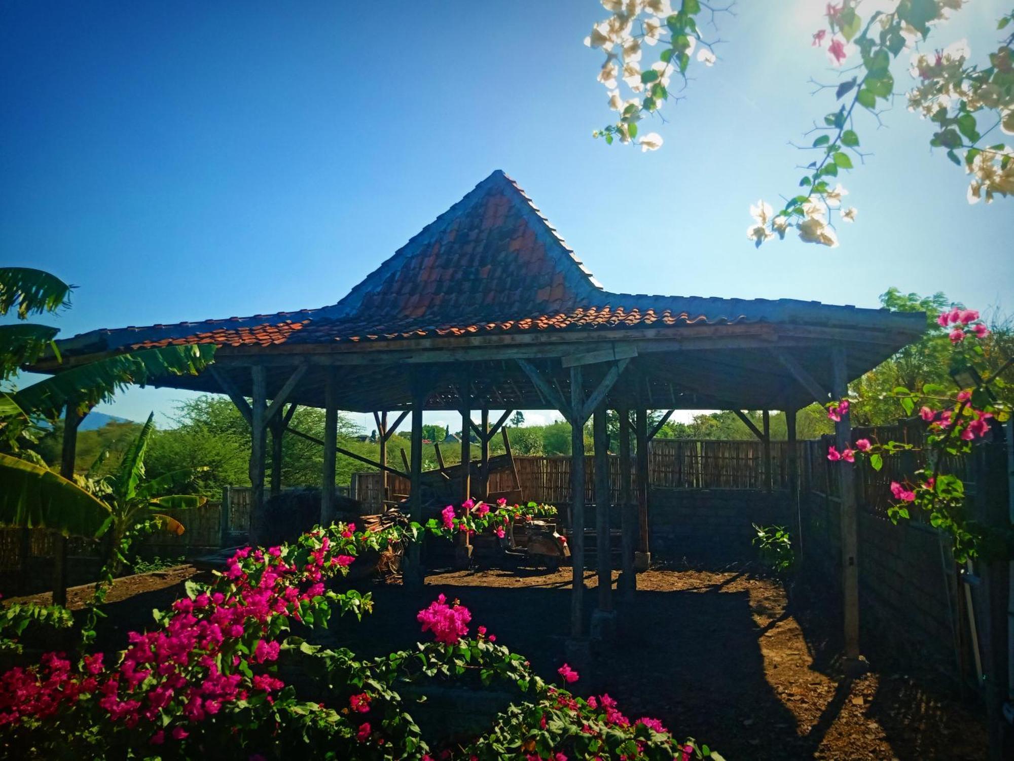 Umah Kayu 2-Menjangan Homestay بانُوويدانغْ المظهر الخارجي الصورة