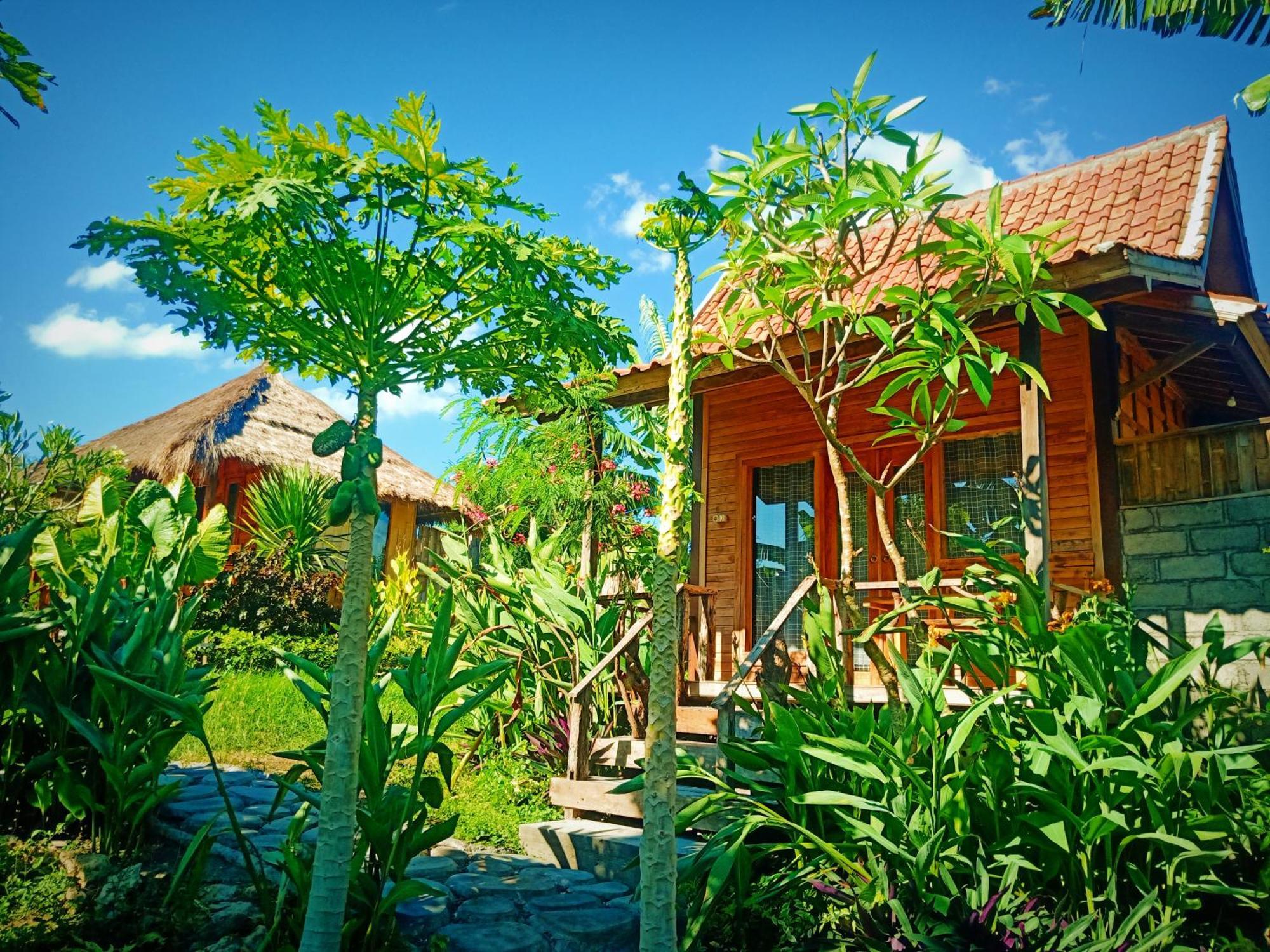 Umah Kayu 2-Menjangan Homestay بانُوويدانغْ المظهر الخارجي الصورة
