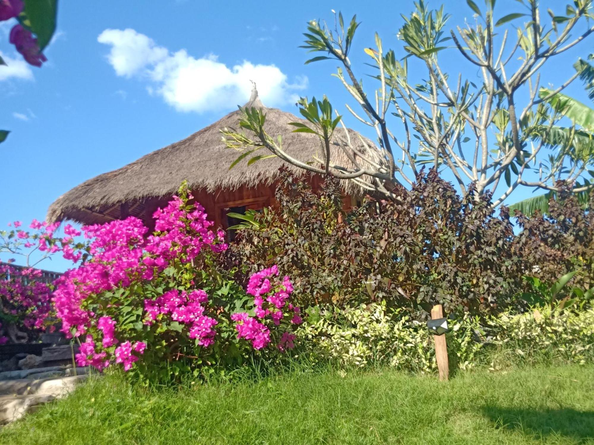 Umah Kayu 2-Menjangan Homestay بانُوويدانغْ المظهر الخارجي الصورة